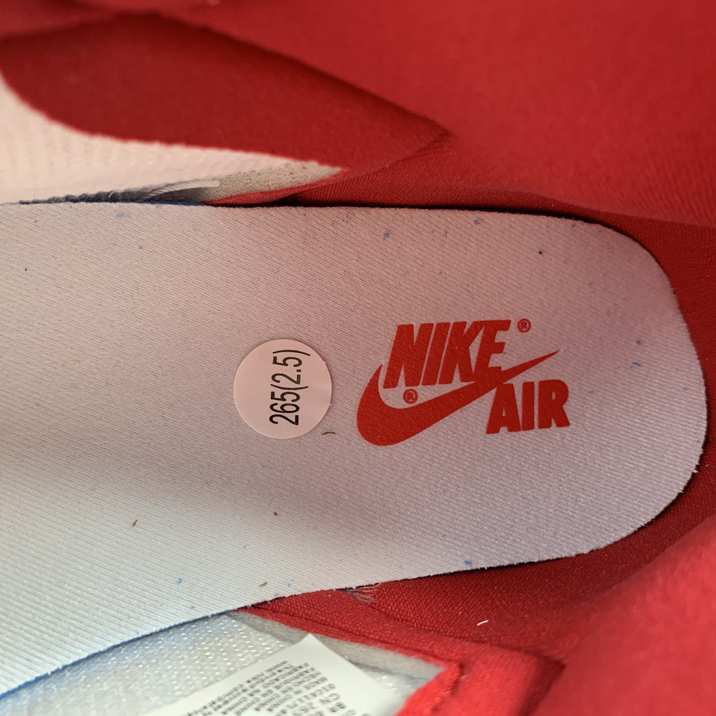 Nike Air Jordan1 High OG 